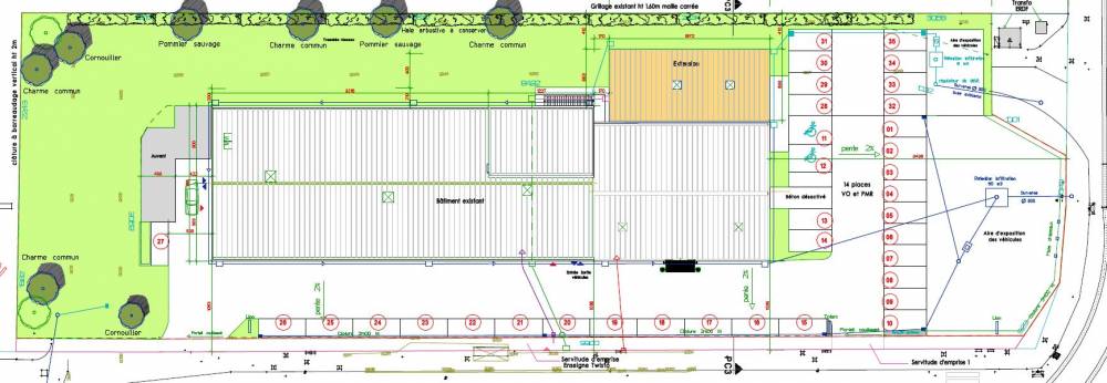 2-Plan masse.JPG